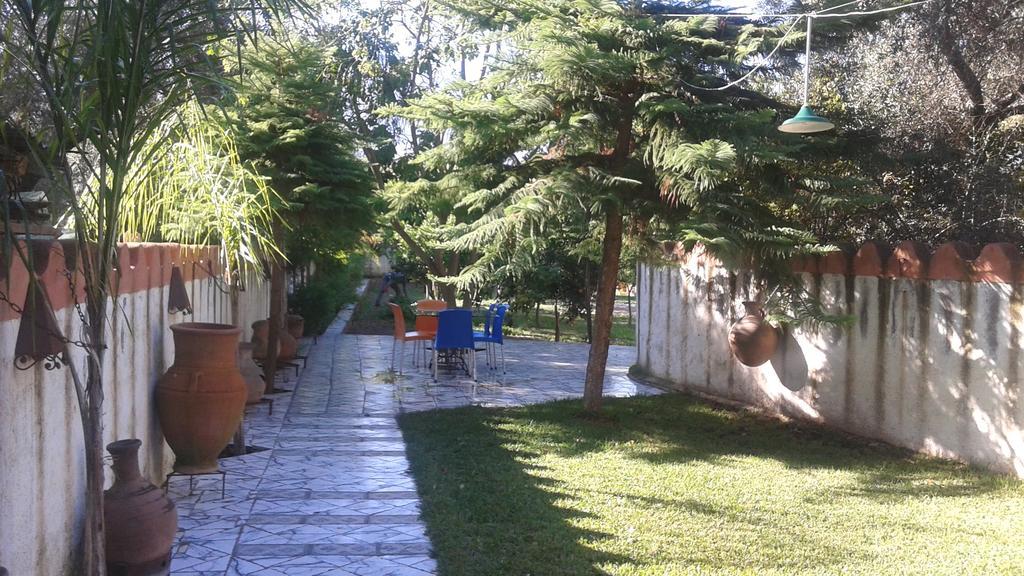 Maison D'Hotes Ait Bou Izryane Timoulilt エクステリア 写真